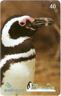 RS-0823 - Pinguim