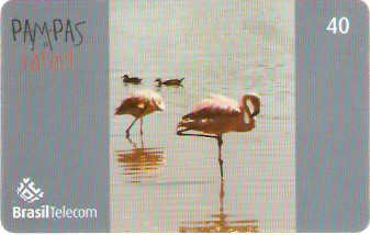 RS-0844 - Pampas Safari - 40C - 06/11