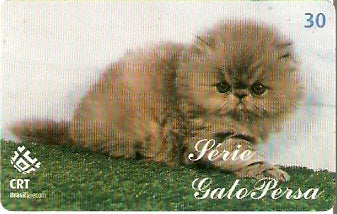 RS-0548 - Gato Persa - 2/5