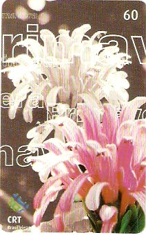 RS-0588 - Primavera - 1/5