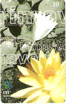 RS-0592 - Primavera - 5/5