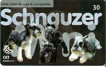 RS-0610 - Cães Pêlo Curto - 2/5