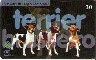RS-0656 - Cães Pêlo Curto - 4/5