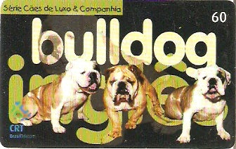 RS-0657 - Cães Pêlo Curto - 5/5