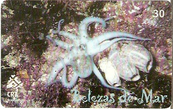 RS-0662 - Belezas do Mar - 06/10