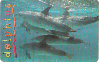 SAFM-148 - Golfinhos - 1