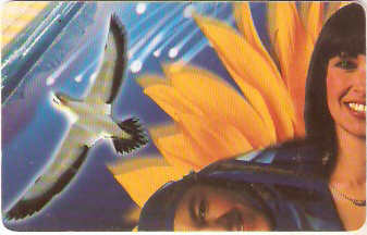 SAF-093a - Puzzle - azul - 1/4
