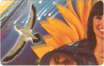 SAF-093c - Puzzle - azul - 1/4