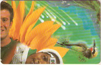 SAF-094b - Puzzle - verde - 2/4