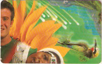 SAF-094c - Puzzle - verde - 2/4