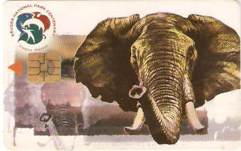 SAF-113 - Elefante