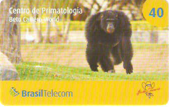 SC08-05 - Beto Carrero - 07