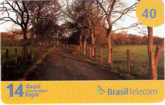 SCC09-05 - Outono 1