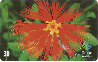 SC-168 - Flores Daqui 2/8