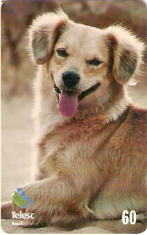 SC-269 - Cão - 60