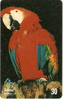 SC-271 - Arara Vermelha