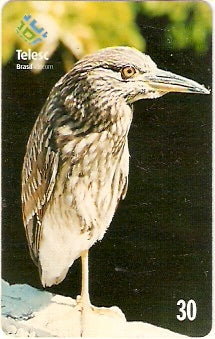 SC-272 - Savacu
