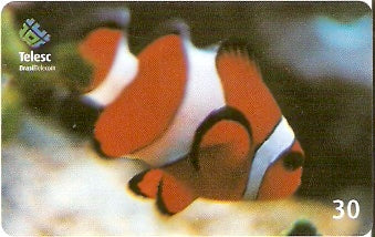 SC-328 - Marinho - 01/10