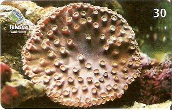 SC-329 - Marinho - 02/10