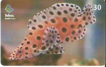 SC-330 - Marinho - 03/10