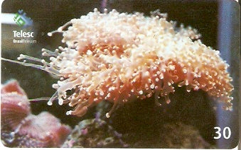 SC-331 - Marinho - 04/10