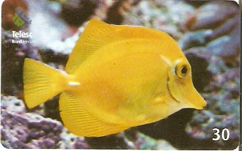 SC-332 - Marinho - 05/10