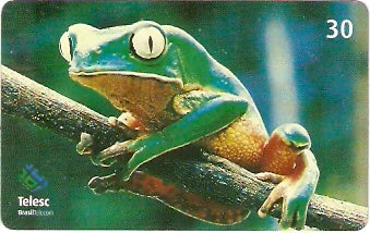 SC-335 - Anfíbios - 01/12