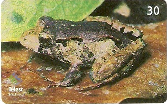 SC-336 - Anfíbios - 02/12