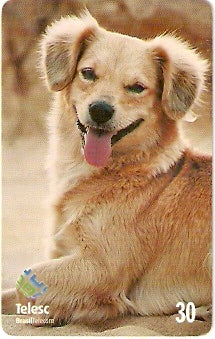 SC-338 - Cão