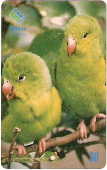 SC-339 - Periquito Verde