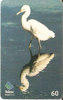 SC-341 - Garça Pequena