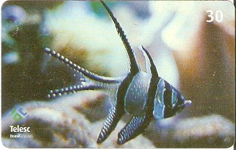 SC-345 - Marinho - 07/10