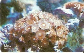 SC-346 - Marinho - 08/10