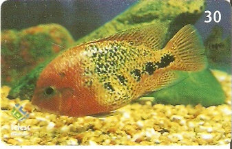 SC-347 - Marinho - 09/10