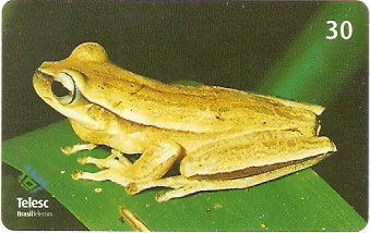 SC-358 - Anfíbios - 06/12