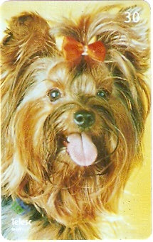 SC-369 - Cães de Raça - 03/12