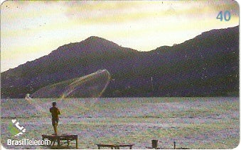 SC-463 - Viver Floripa - 08/11