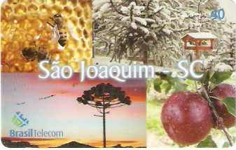 SC-584 - São Joaquim