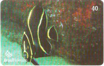 SC-615 - Peixes - 09/11