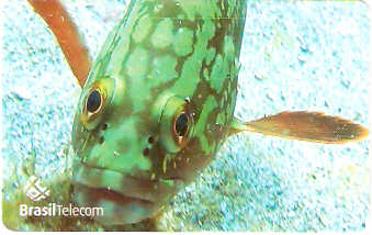 SC-622 - Peixes - 05/11