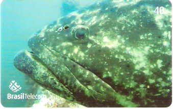 SC-625 - Peixes - 08/11