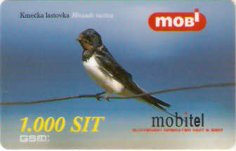 SLO-M-01Aa2 - Andorinha