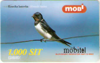 SLO-M-01Ab7 - Andorimha