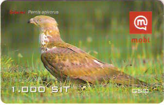 SLO-M-23d1 - Pernis Apivorus