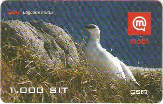 SLO-M-05Bc3 - Lagopus Mutus