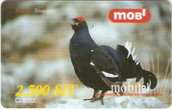 SLO-M-07Aa10 - Galinha Preta