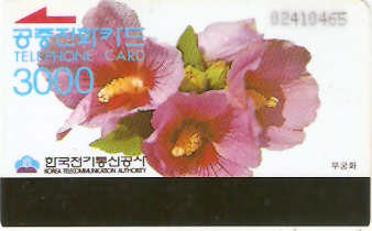 SOK-MO08901a - Rosa de Sharon