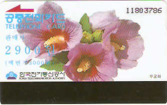 SOK-MO08901b - Rosa de Sharon