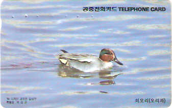 SOK-MO09710a - Marreco