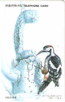 SOK-MO09903 - Pica-Pau